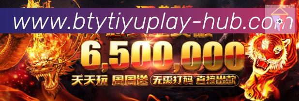 未来规划